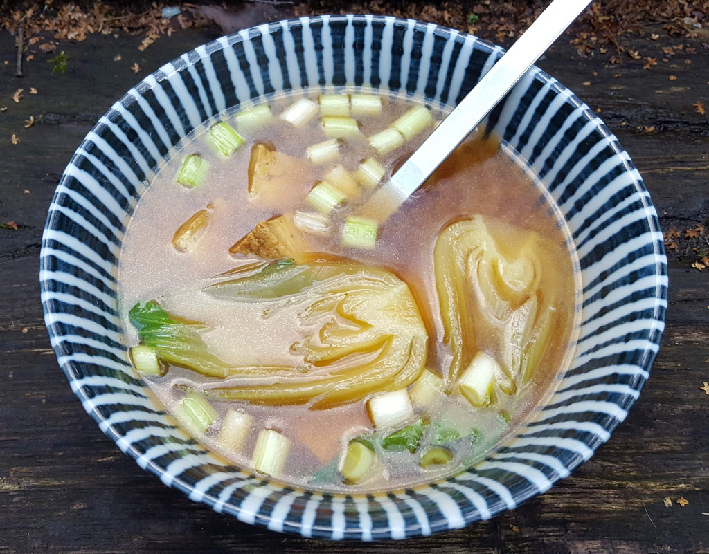 Miso leves pak choi káposztával és szezámmagos tofuval