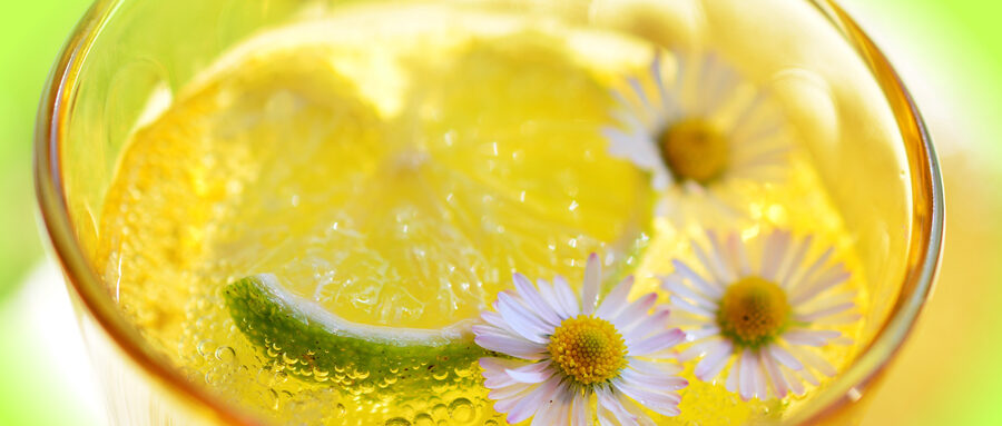 Tavaszi méregtelenítés